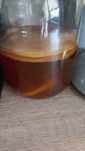 Grzyby kombucha albo grzyb herbaciany