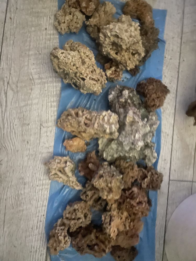 Kamien ozdobny Malawi