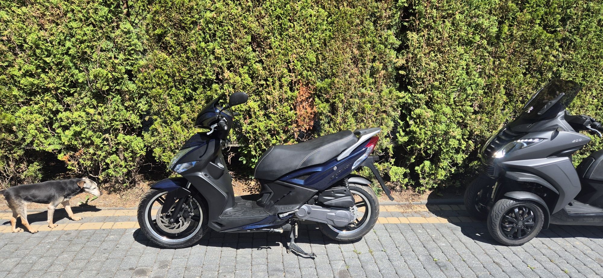 Kymco Agility 16+ 2022r
