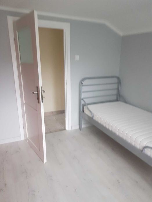 Pokój do wynajęcia