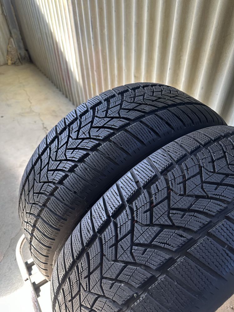 Dunlop Winter Sport 5 SUV 255/50 R20