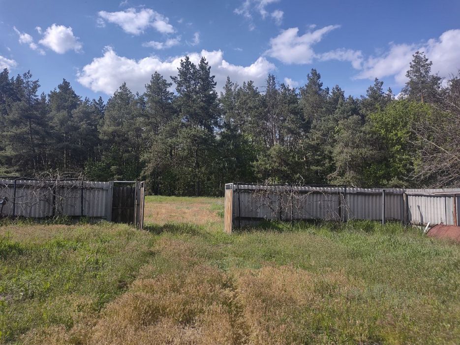 Приватизований будинок із газом і санвузлом біля соснового лісу дом