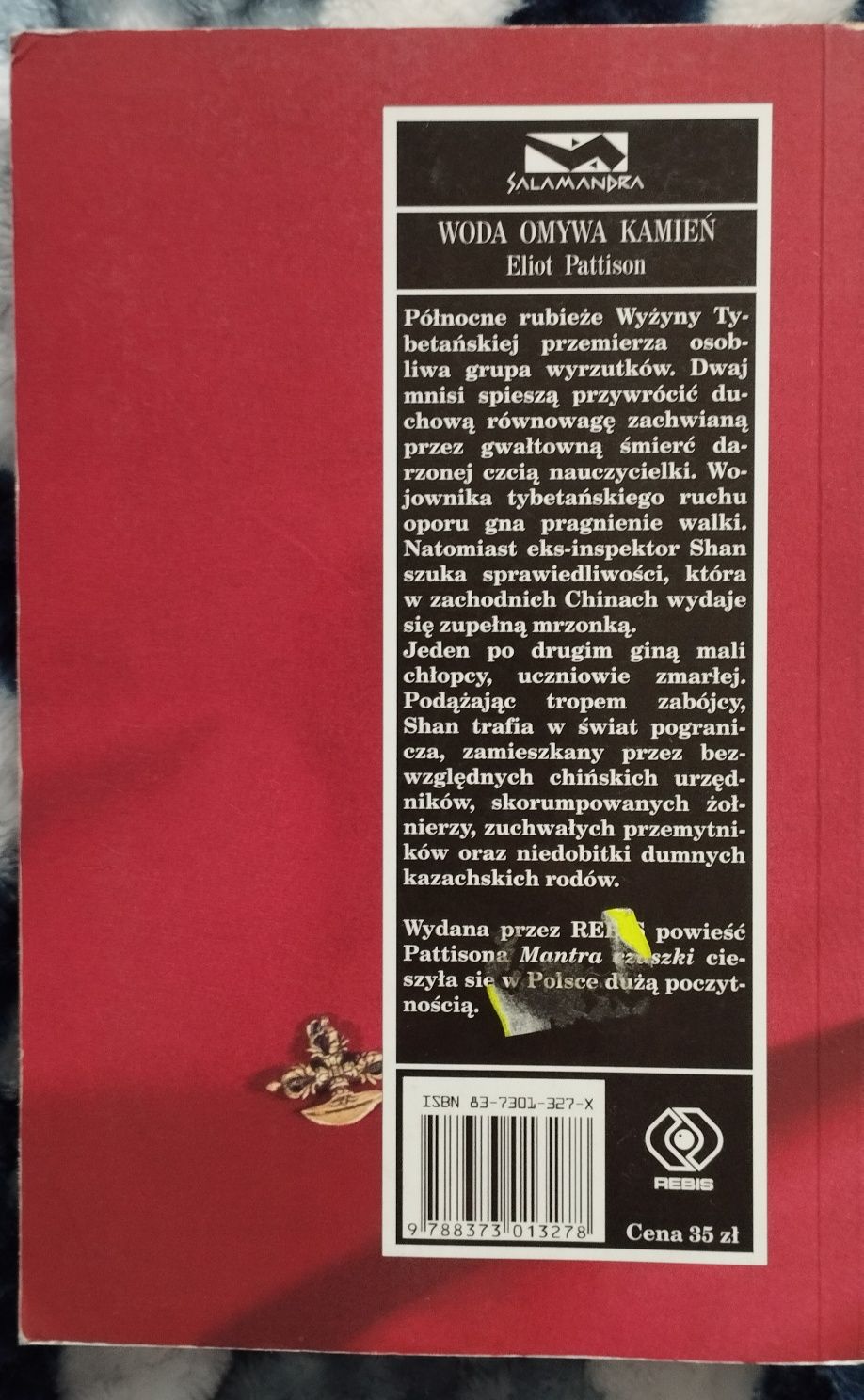 Woda omywa kamień Eliot Pattison