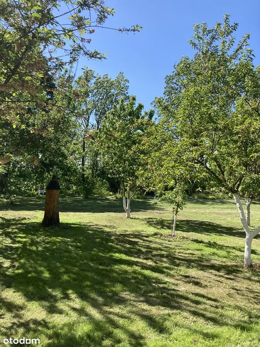 Duża działka budowlana  z domem do remontu