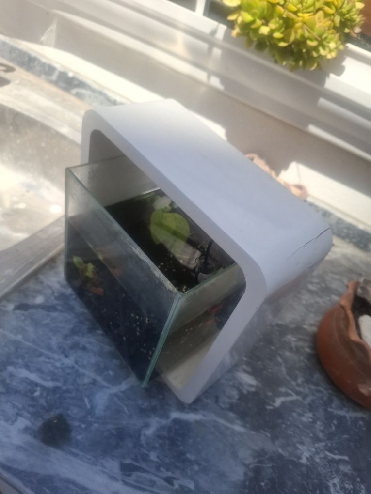 Aquario cubo branco