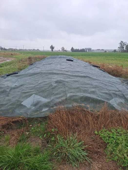 Siatka na pryzmę przeciw ptakom