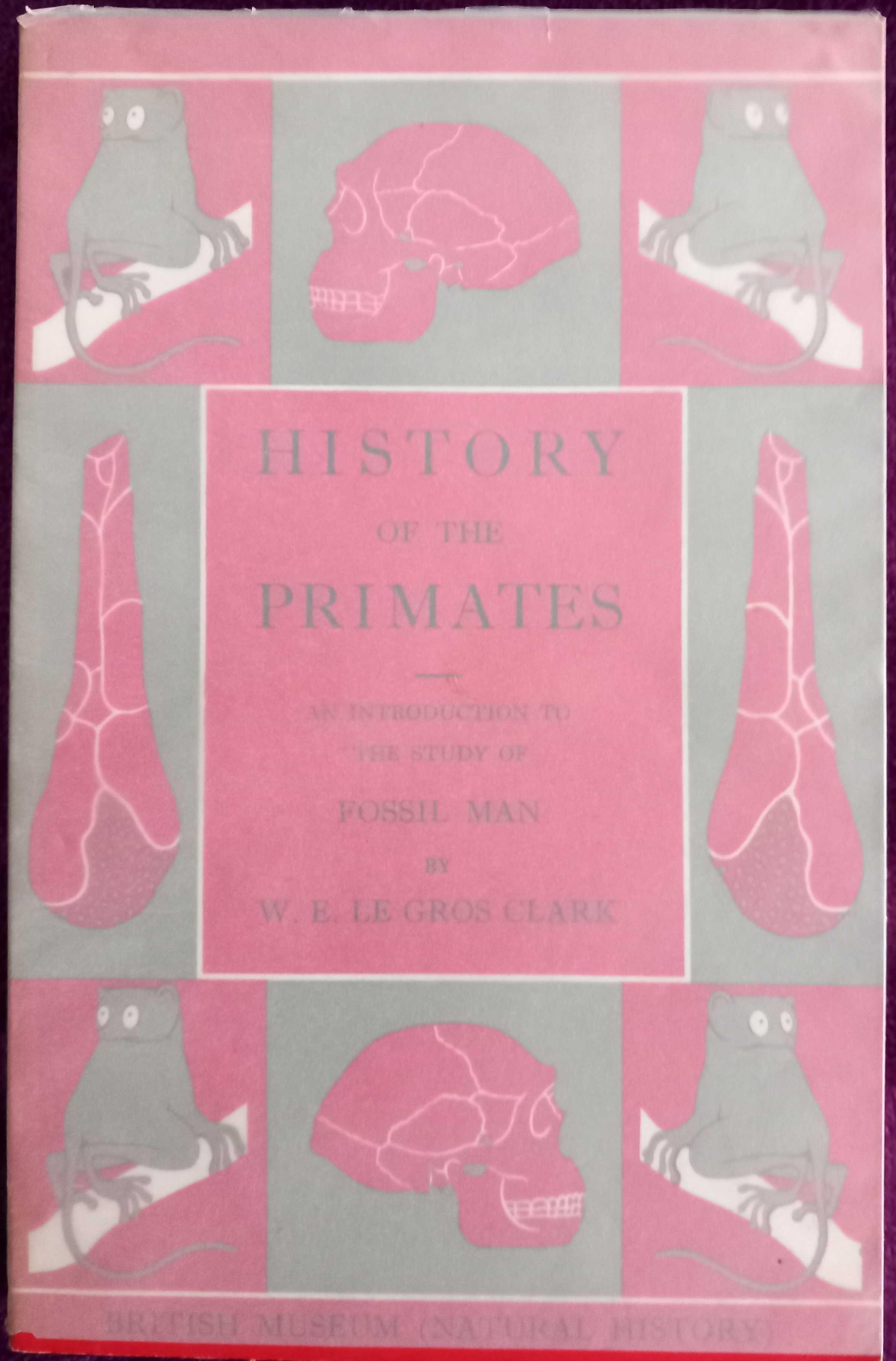 History of the Primates: An Introduction to the Study of Fossil Man