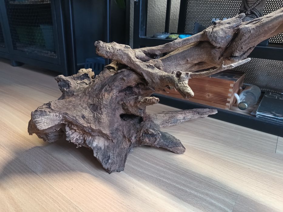 Duży korzeń do akwarium lub terrarium