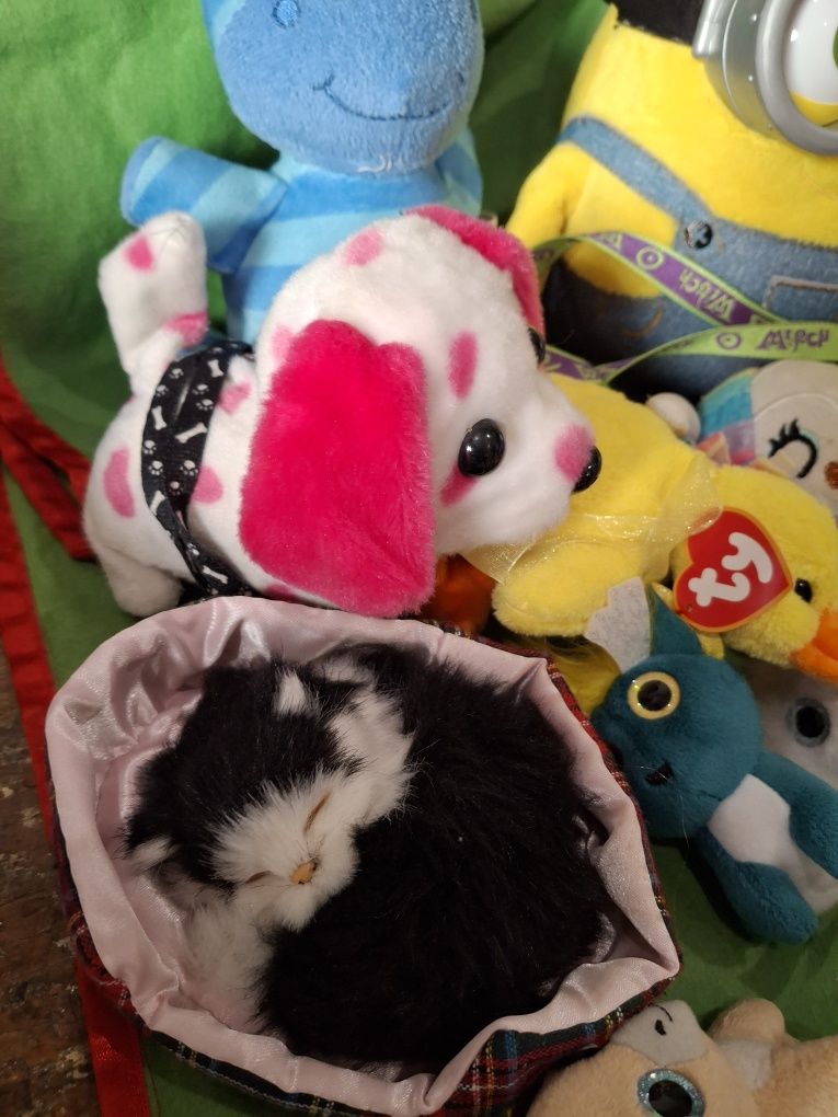 Peluches, cão com trela e gato