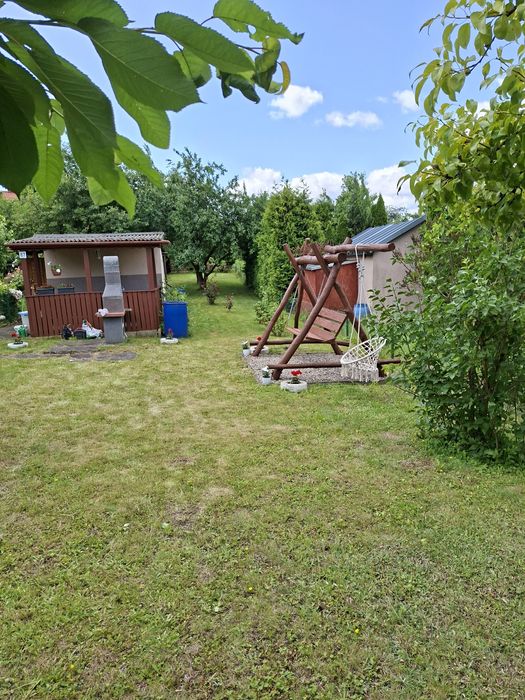 Działka ROD ,,Tulipan" 440 m²