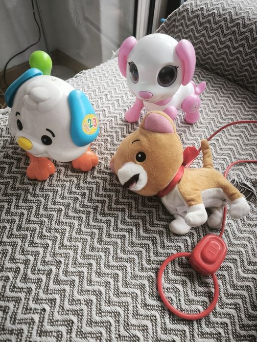 Robô verbaut, dog tou,tou gato de passeio