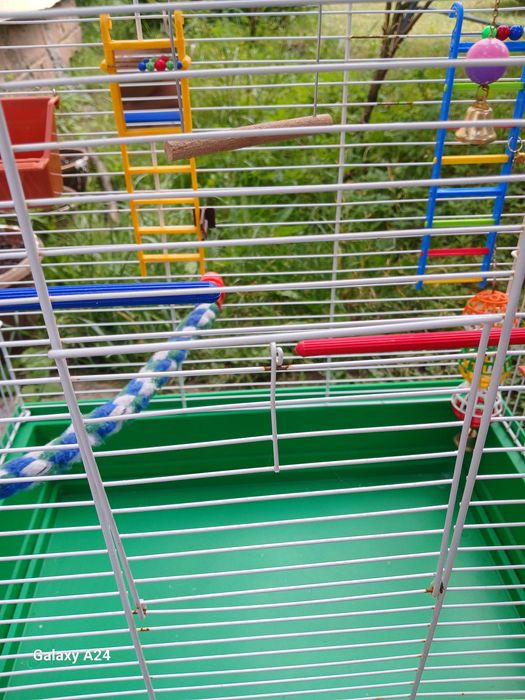 Клєтка для папуги