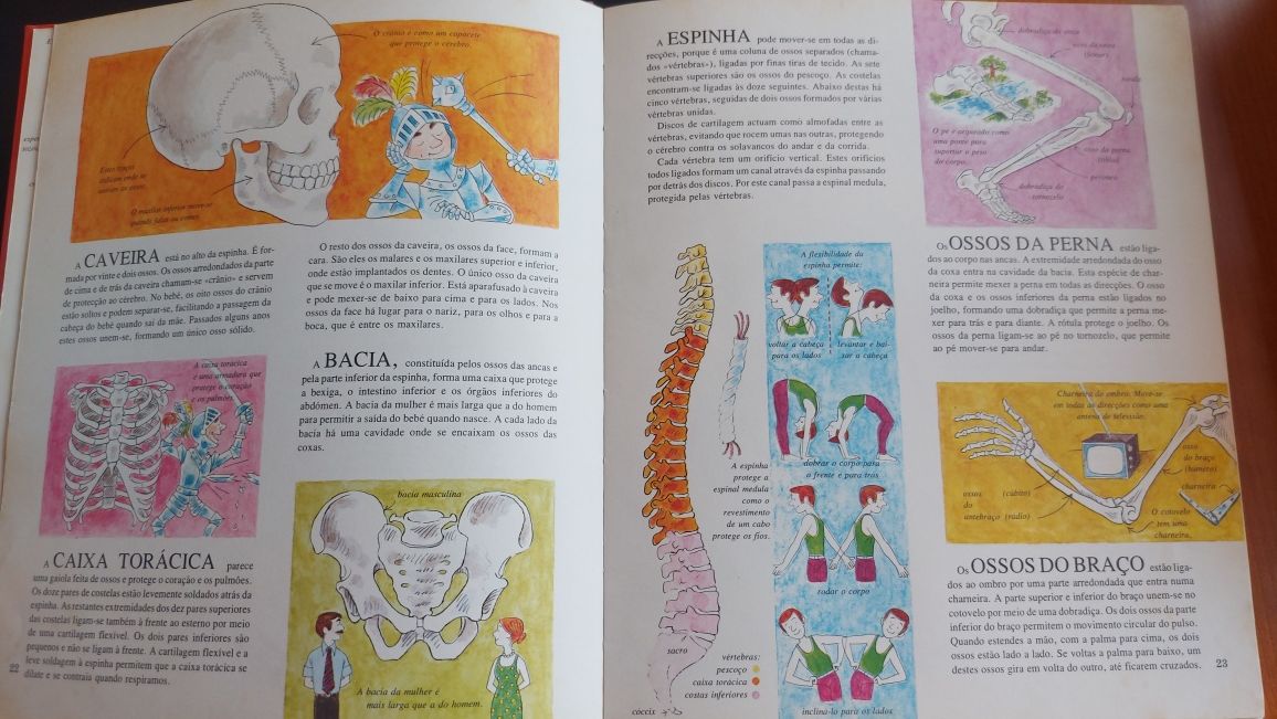 O Nosso Corpo como nasce como cresce como funciona