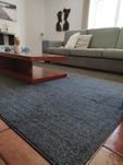 Carpete Cinza 290x200
