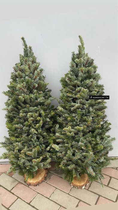 Плетені живі ялинки