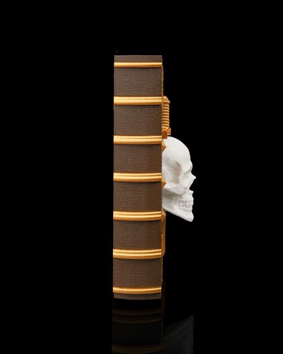 Dice Box Kodeks Zabójcy Luksusowe Pudełko na Kości 2w1 Idealne dla D&D