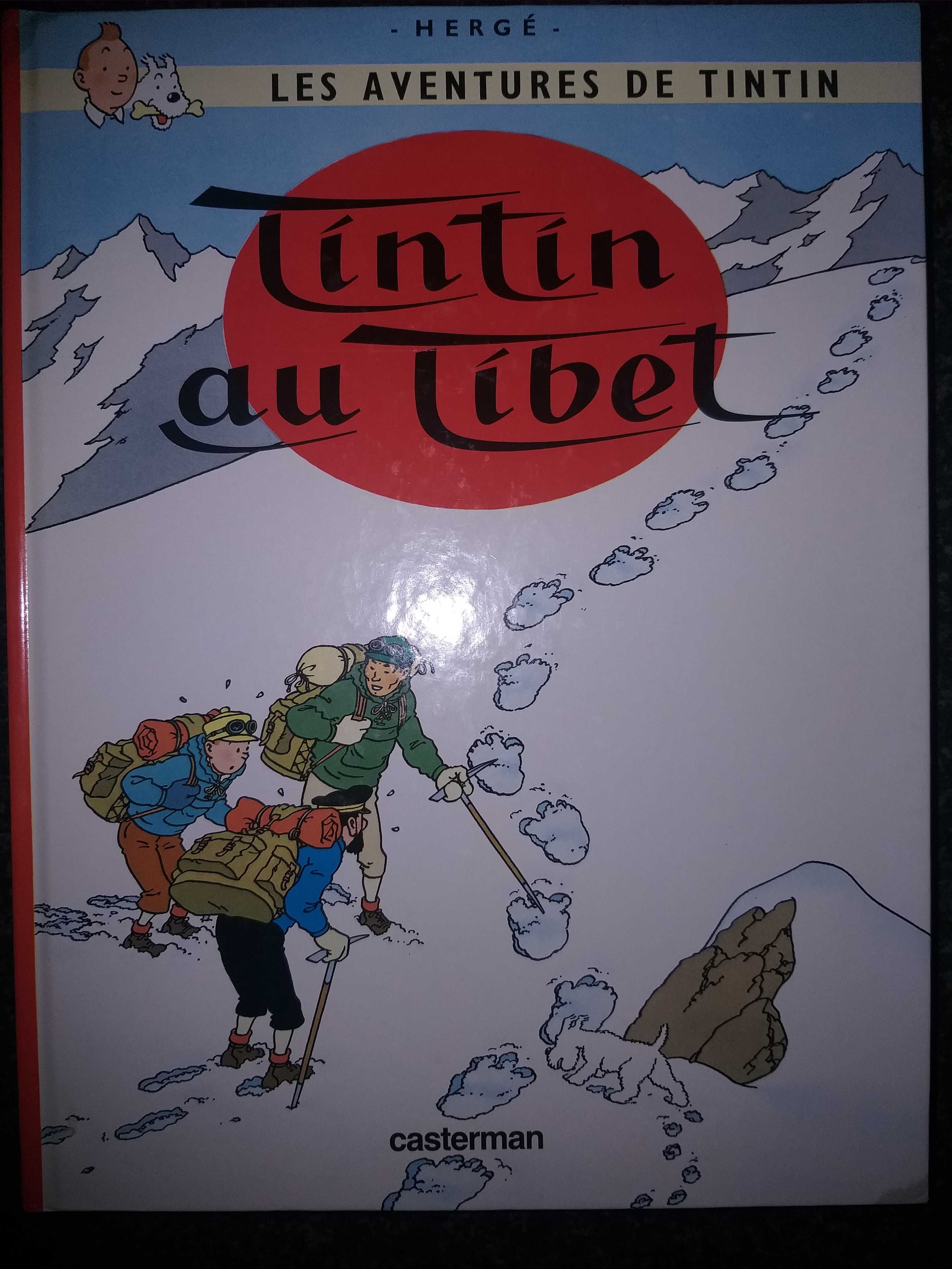 Livros BD Tintin, José Carlos Fernandes