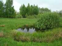 Hobbitowa Suwalszczyzna 2,5 ha siedliska, spokój,  oaza, cisza.