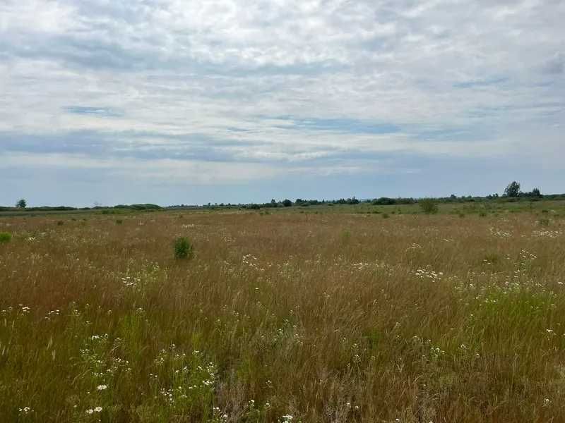 Продаж земельної ділянки 0,5542 га, Головурівська с/р
