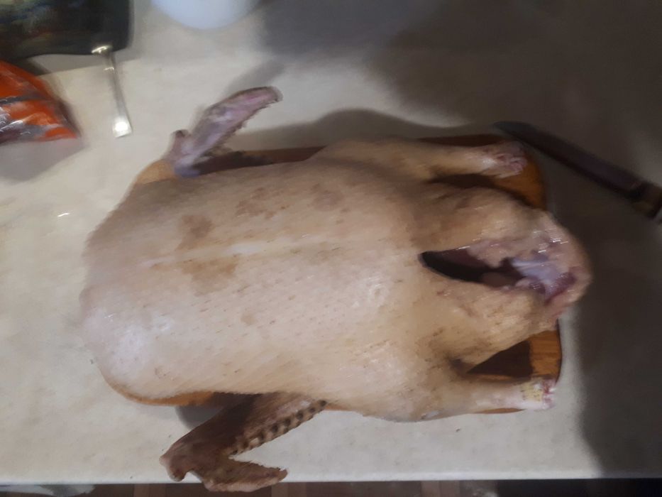 Продам мясо утки( индоутки).