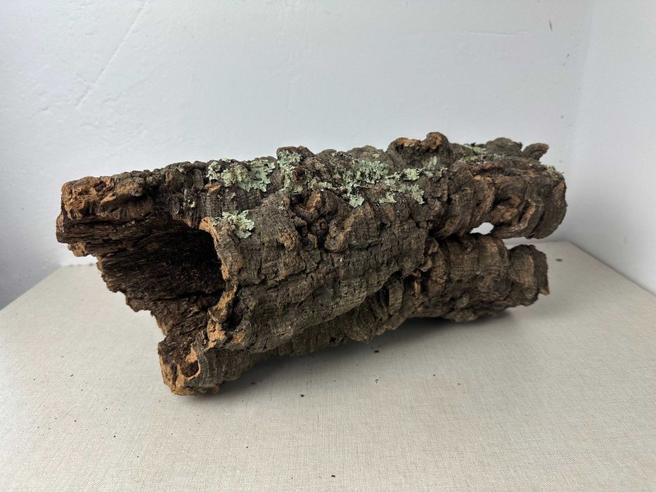 Tuba korkowa do terrarium nr5 ozdoba do terrarium gekon pająk agama