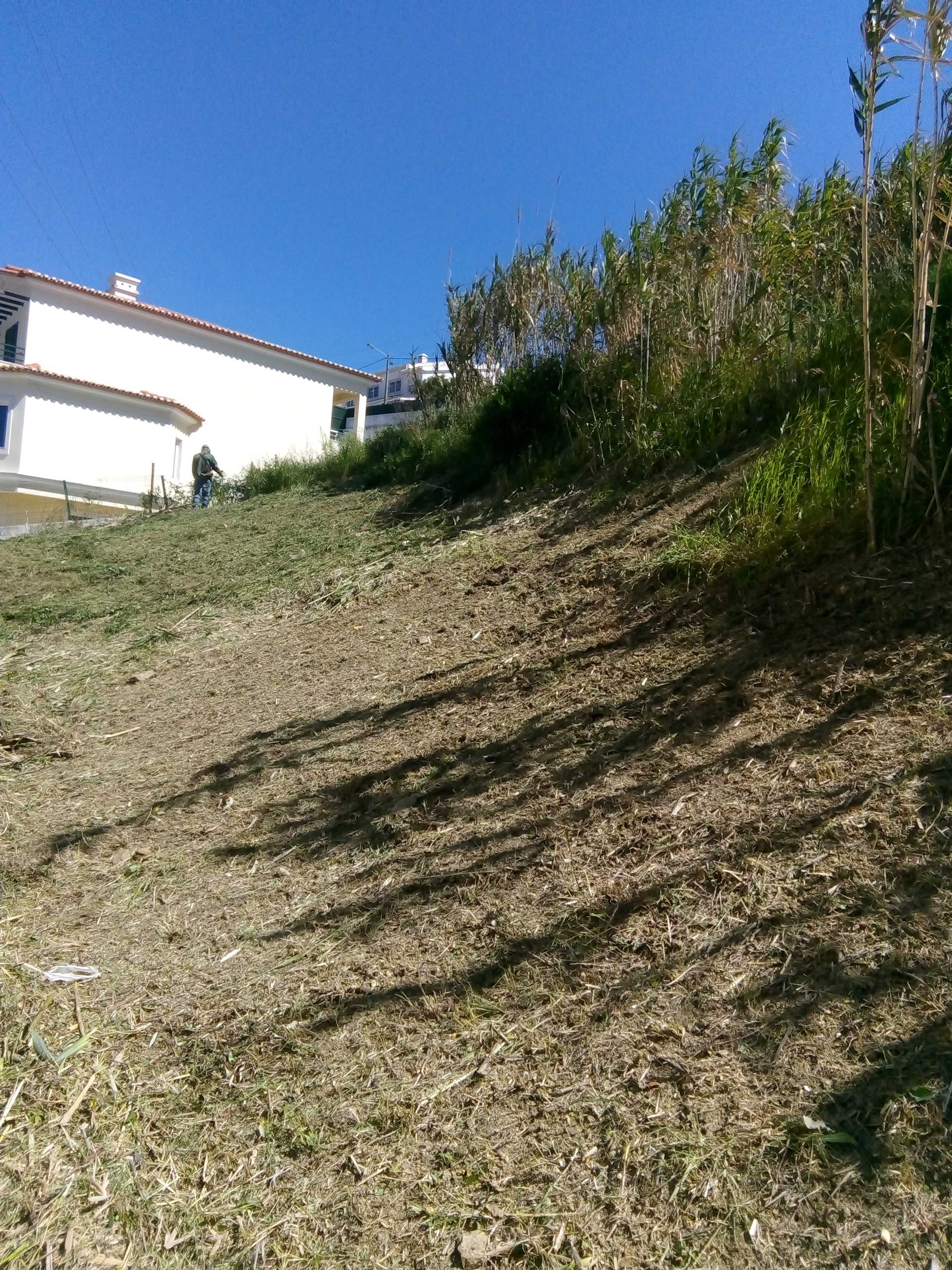 Serviços de construção e Limpeza de terrenos