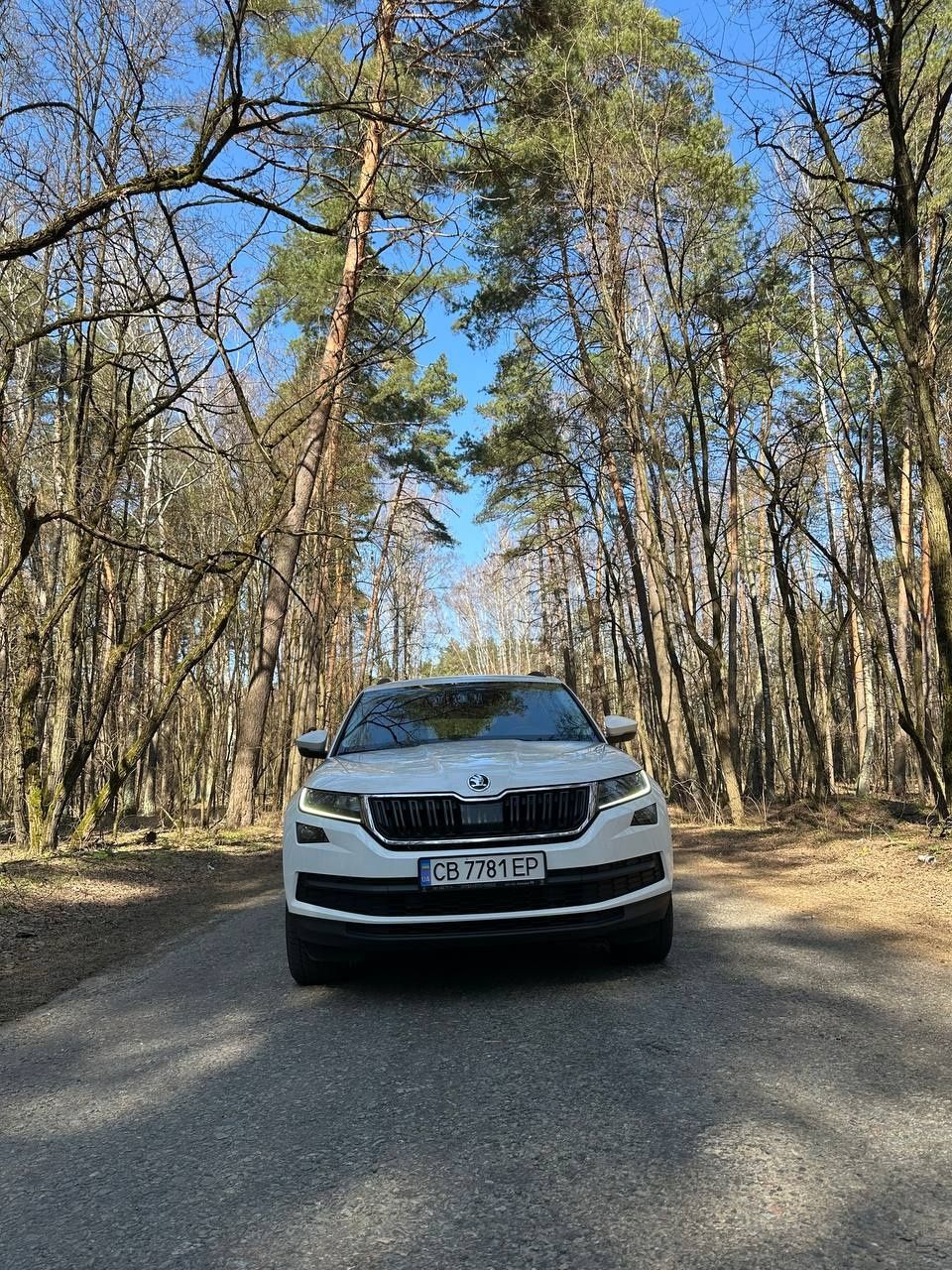 Skoda Kodiaq 4x4