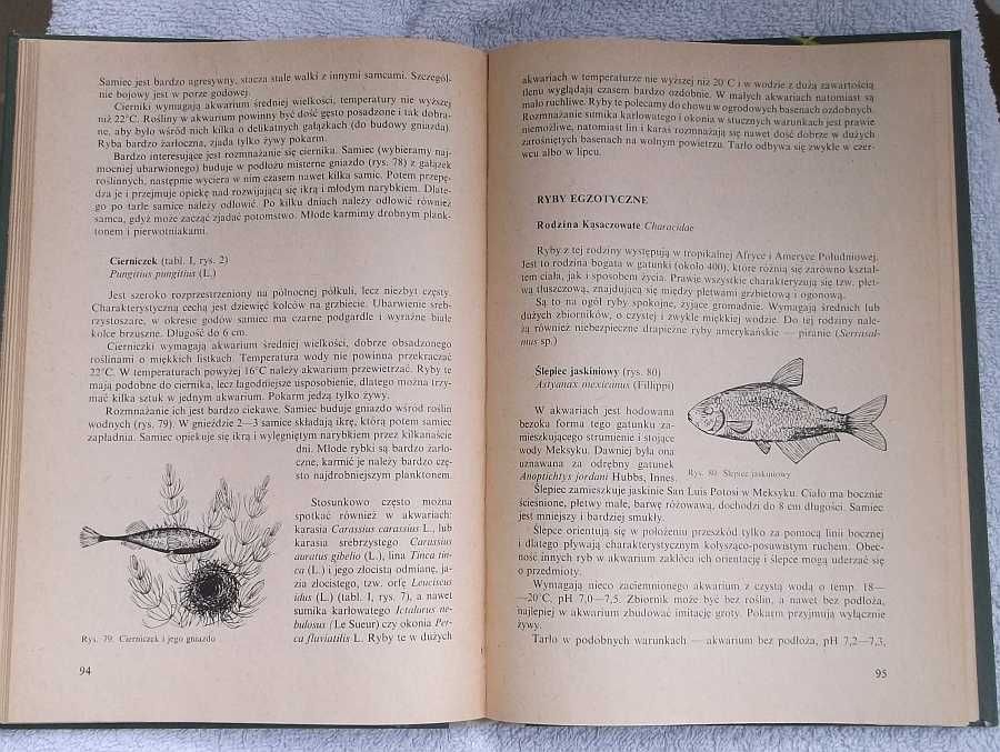 książka Ryby w akwarium
