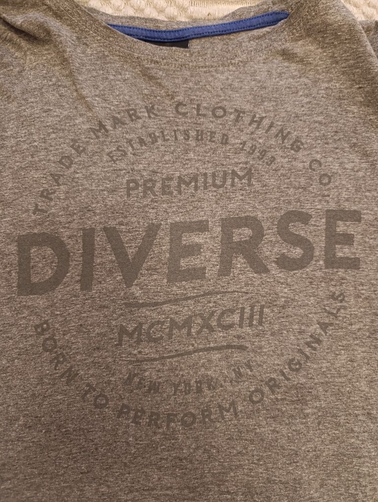 Koszulka Diverse męska premium szara rozmiar M wiosna lato t-shirt