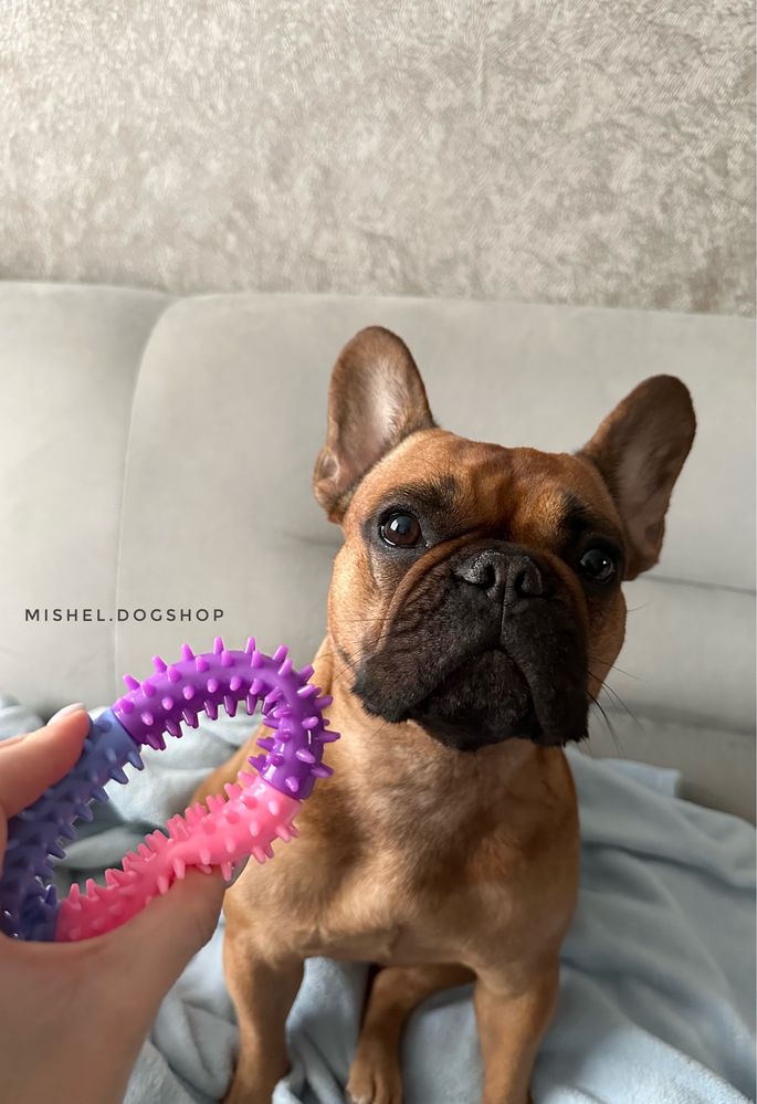 Іграшка для собак, жувальна іграшка для чищення зубів