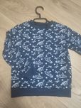 Bluza chłopięca w dinozaury 122