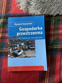 Gospodarka przestrzenna Ryszard Domański