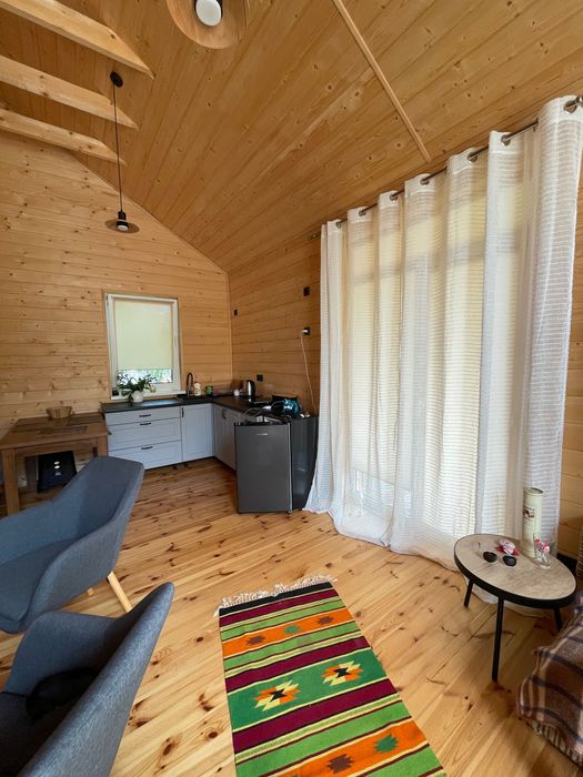 Сучасний будинок 45 м² з каміном і терасою біля лісу.