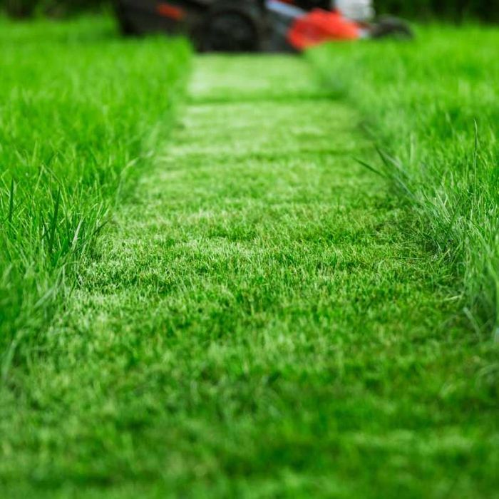 NAWÓZ DOLOMITOWY WAPNO z magnezem do trawy i warzyw 25KG 100m2 dolomit