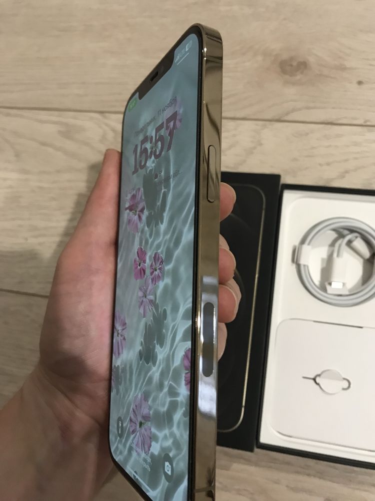 Iphone 12 pro max 256 gb