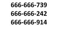 Złoty Platynowy Dobry Firma Biznes VIP Łatwy Prosty 666 666  IDEAL