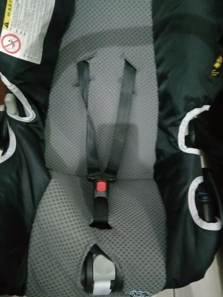 Bebe ovo bebe car seat