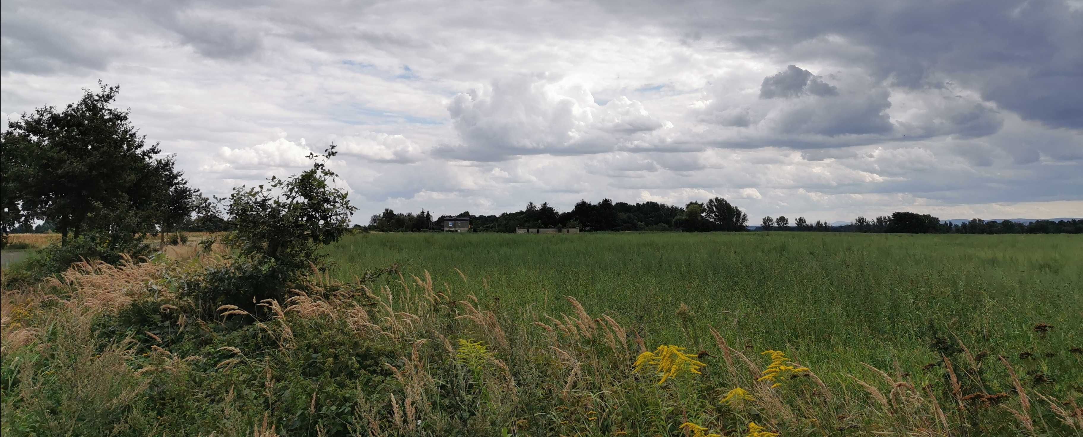 LISIEC DOLNOŚLĄSKIE deweloperskie  developerskie z planem blisko S3