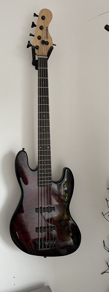 Spector coda pro 5