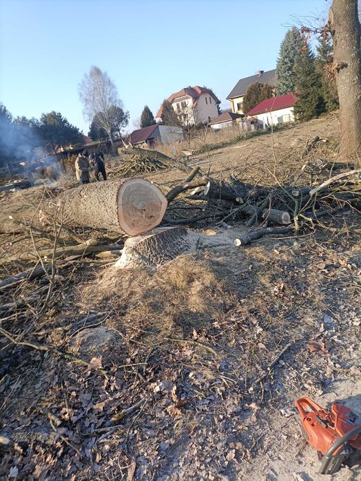 Wycinka drzew, prace alpinistyczne, zrębkowanie gałęzi