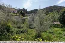 Terreno  para venda