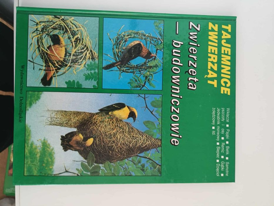 Tajemnice zwierząt zwierząt budowniczowie