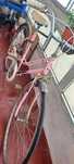 BICICLETA orbita de Coleçao
