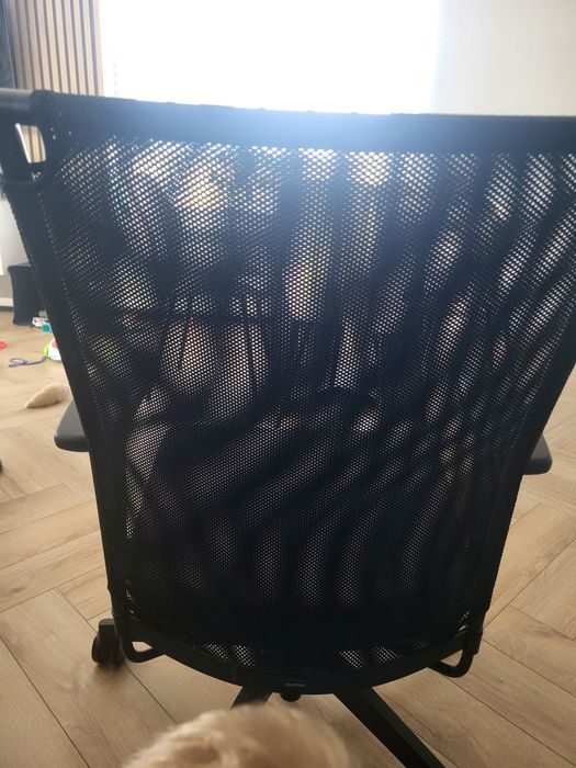Ergonomiczne krzesło biurowe Profim