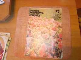 Owoce warzywa kwiaty dwutygodnik 17 1981 ogrodniczy gazeta czasopismo