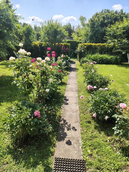 Sprzedam działkę ROD