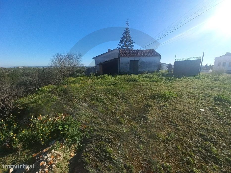 Terreno em Brogueira