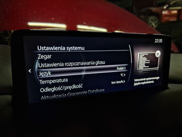 FORD Sync2 Sync3 MAZDA MZD2 Connect II Język polski, konwersja USA EU