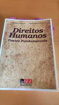 Direitos humanos- textos fundamentais