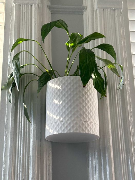 Vaso de planta com abertura para água - Moderno